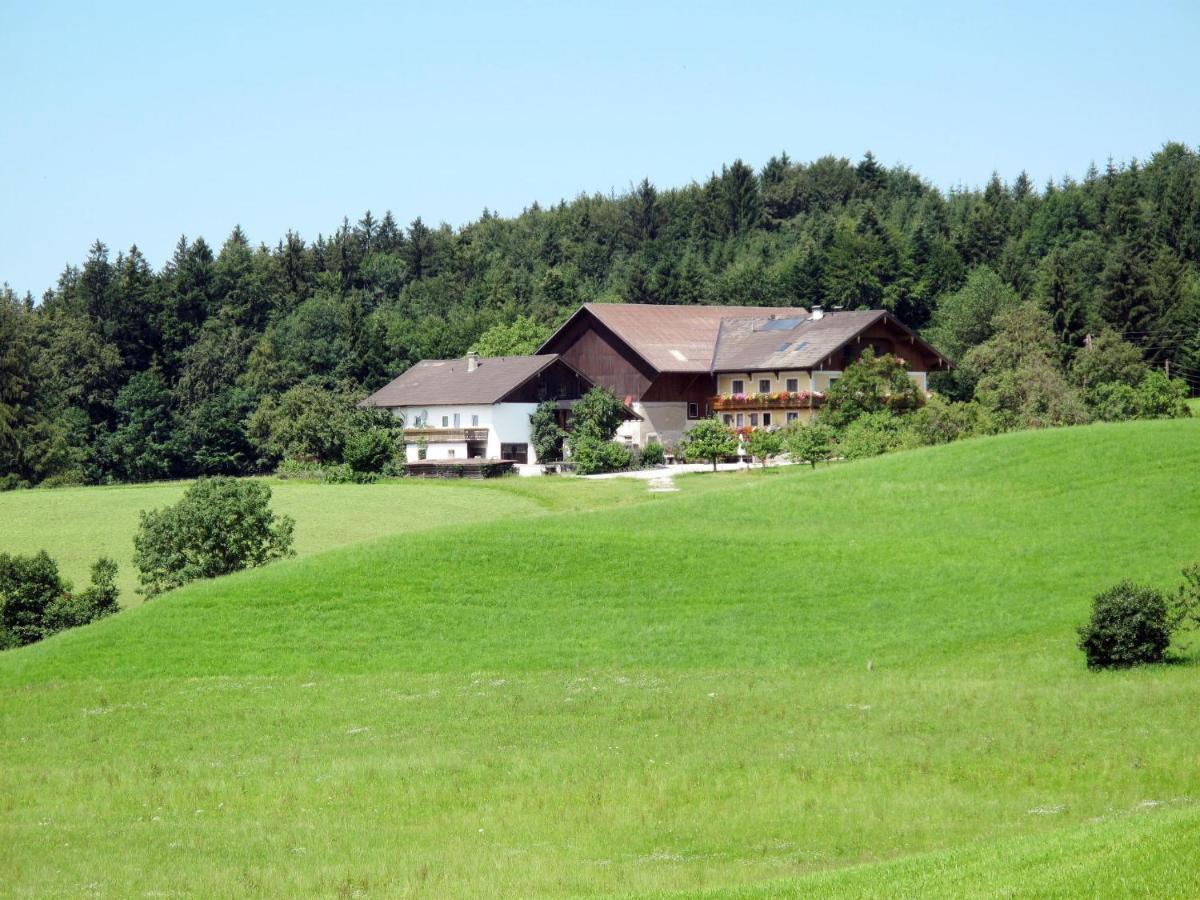 Apartment Bauernhof Vorderroid - Mon400 Oberhofen am Irrsee Exteriör bild